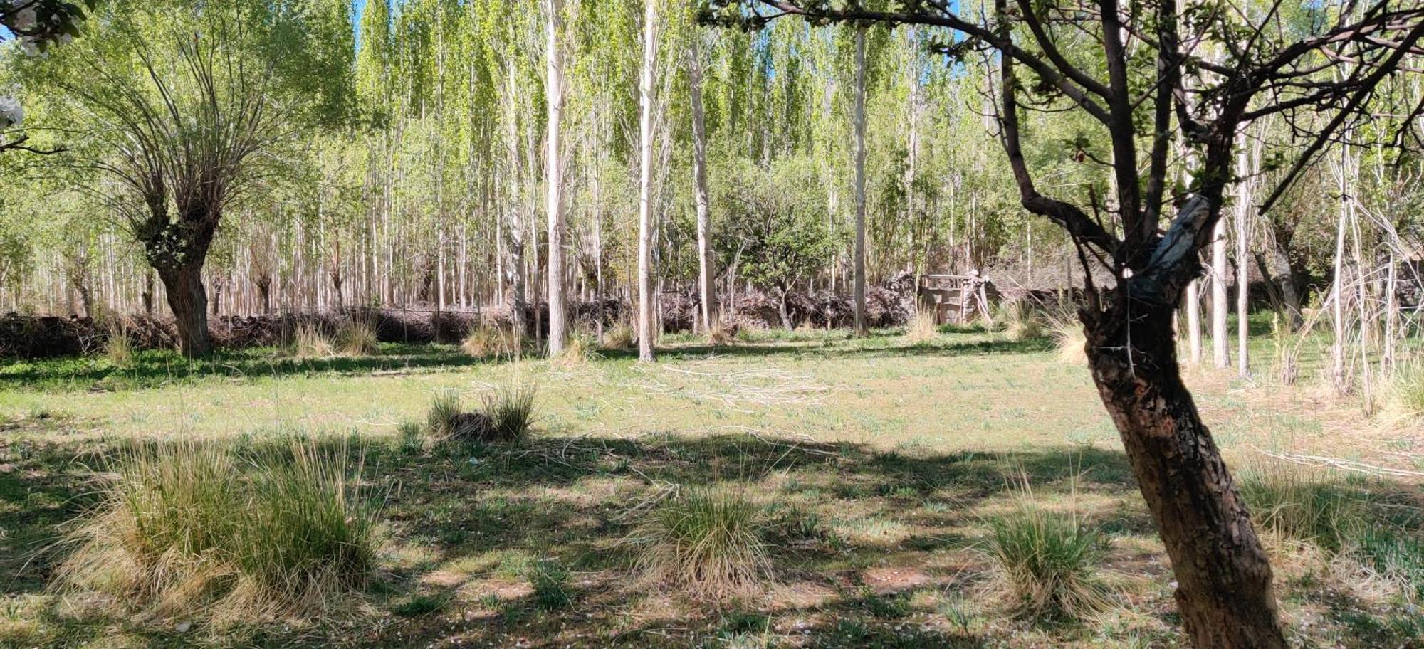 Вилла Devaranya Hut Лех Экстерьер фото